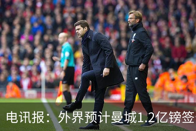 电讯报：外界预计曼城1.2亿镑签安德森 担忧这一价格引发连锁反应